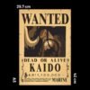 One Piece Wanted Dead or Alive Bounty Poster [42CM] - Kaido